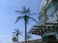 Albums/20060800-China Aug 2006/20060801-Shenyang/25